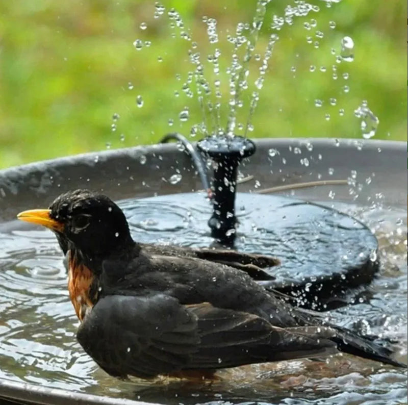 Solar Water Fountain